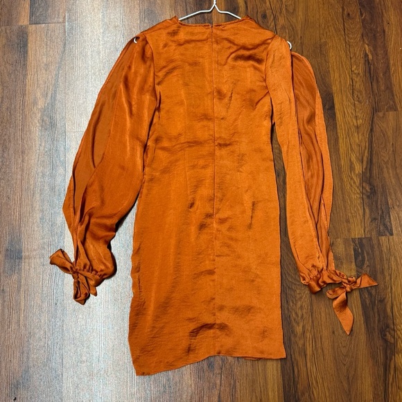 PrettyLittleThing Rust Long Sleeve Dress - Picture 3 of 11